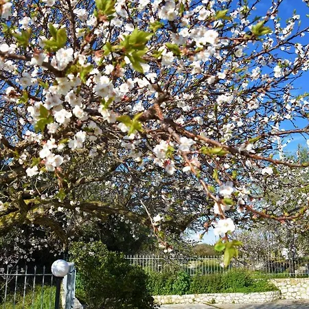 Lägenhetshotell Dafnoudi 2*